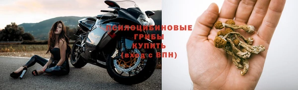 молекула духа Волоколамск