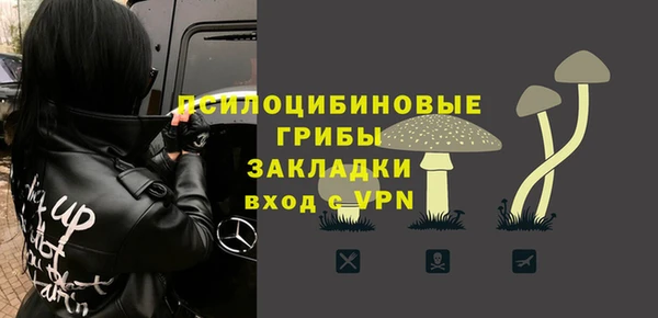 молекула духа Волоколамск