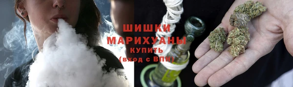молекула духа Волоколамск