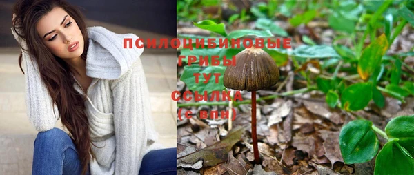 амф Володарск