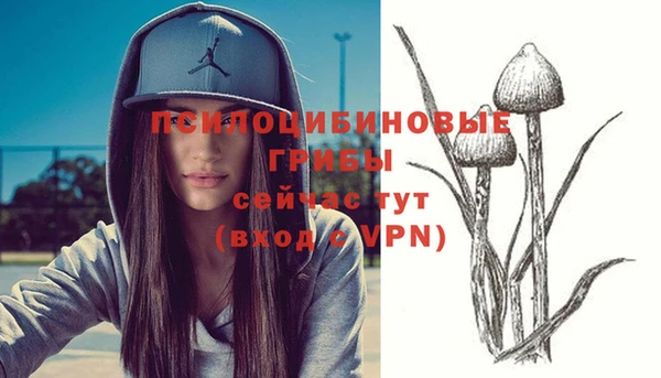 амф Володарск