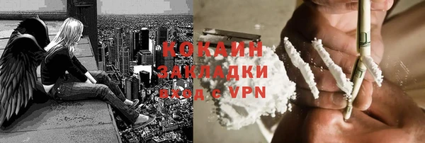 молекула духа Волоколамск